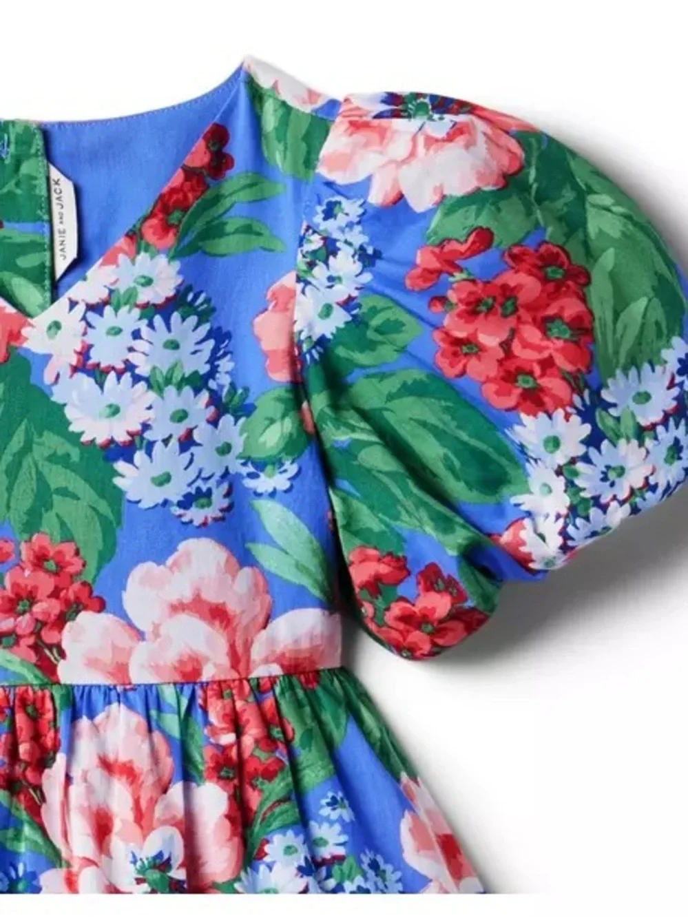 Janie & Jack Blue Floral Puff-Sleeve Dress 8